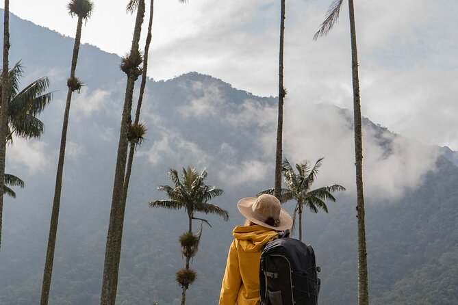 Cocora Valley and Salento Hike Tour - Why Cocora Valley is worth the trip