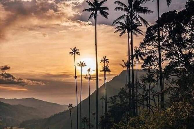 Cocora Valley and Salento Hike Tour - Who will enjoy this tour most