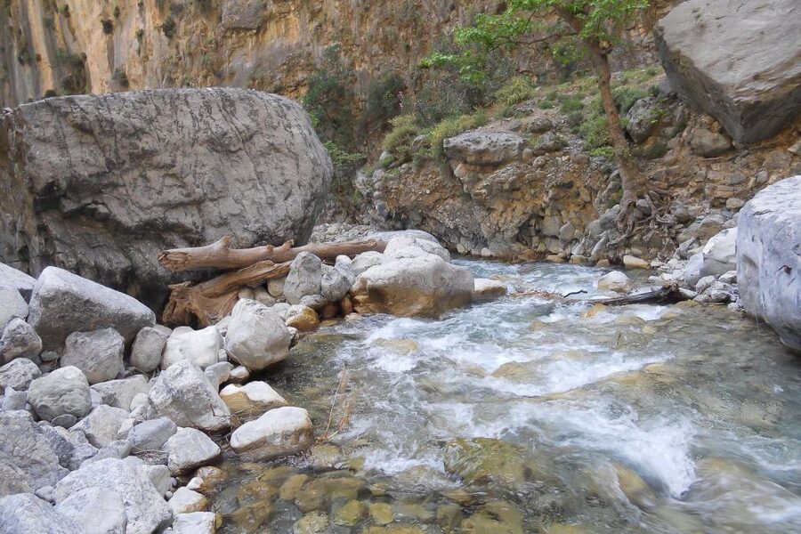 Crete: Samaria Gorge Hiking with transfer and expert Escort - Guides, group rhythm, and organization