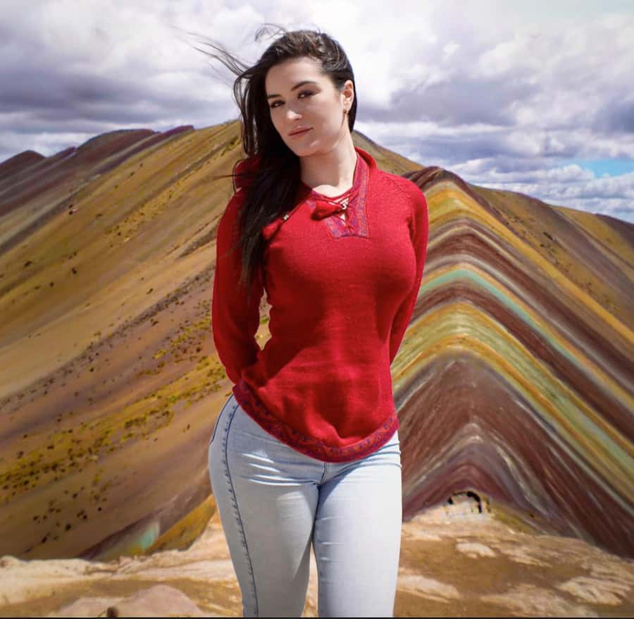 Cusco: Rainbow Mountain Tour and Red Valley Hike (Optional) - The 1.5-hour climb to Vinicunca