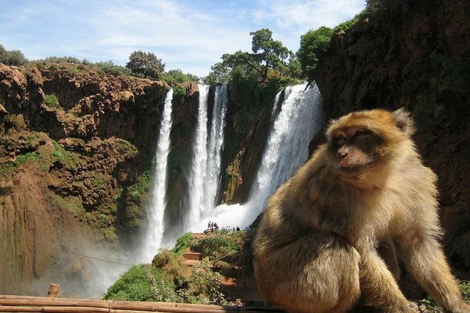 Day Trip To Ouzoud Waterfalls (Guide Hike & Boat are options) - The optional local guide costs €3