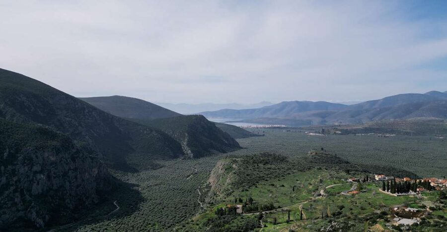 Delphi: Easy Hike on Ancient Path through the Olive Groves - Why this Delphi walk is worth your time