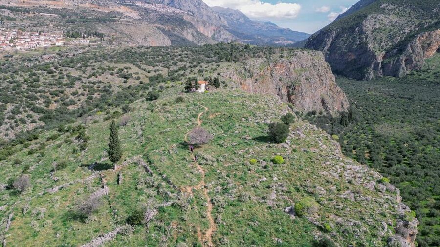 Delphi: Easy Hike on Ancient Path through the Olive Groves - Chriso and the human side of Delphi