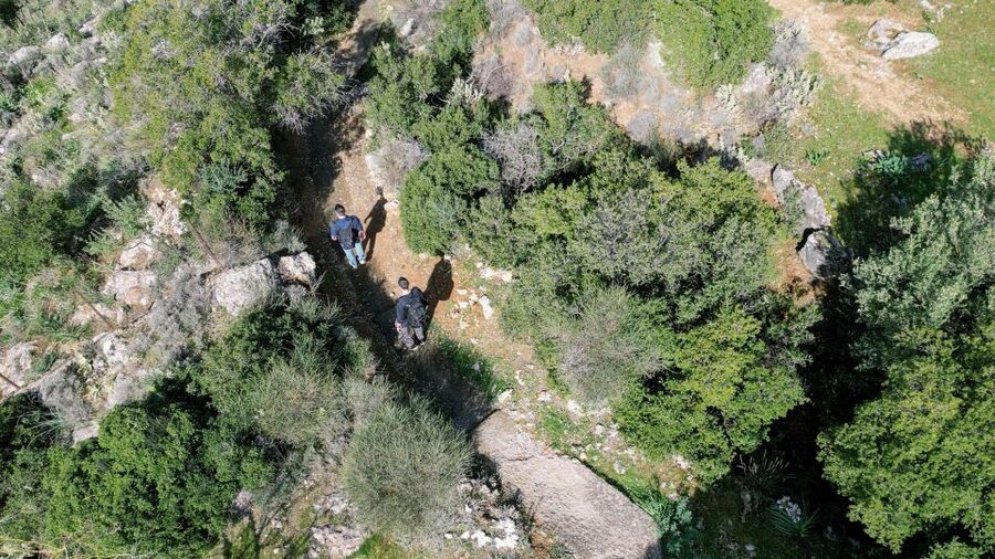 Delphi: Easy Hike on Ancient Path through the Olive Groves - Games that keep the walk moving