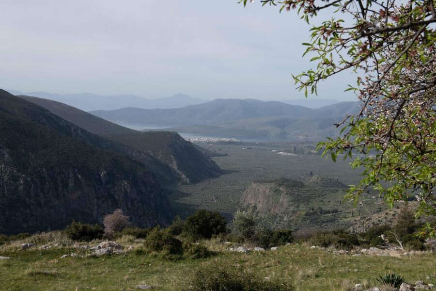 Delphi: Easy Hike on Ancient Path through the Olive Groves - Toward Aggali and the return to Delphi