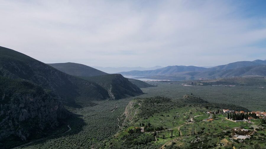 Delphi: Easy Hike on Ancient Path through the Olive Groves - What the $35 price buys you