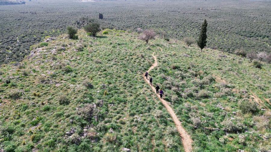 Delphi: Easy Hike on Ancient Path through the Olive Groves - Practical preparation for sun and uneven ground