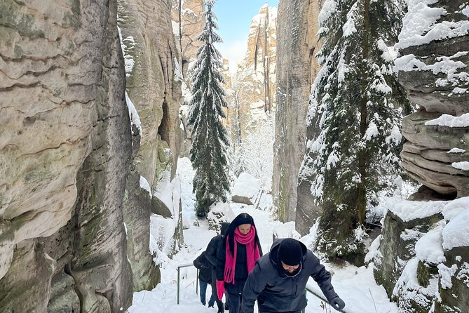 Discover Bohemian Paradise: Authentic Easy Hike, Castle & Brewery - Who should book this day?