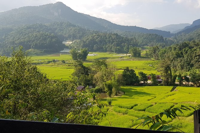 Doi inthanon National Park + 2Hour Fantastic Trekking with Lunch - Lunch is simple, useful, and included