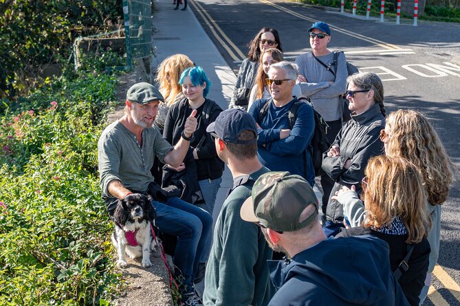 Dublin Coastal Hike, Pints & Puppies Adventure - Puppies, older dogs, and the human side of the tour