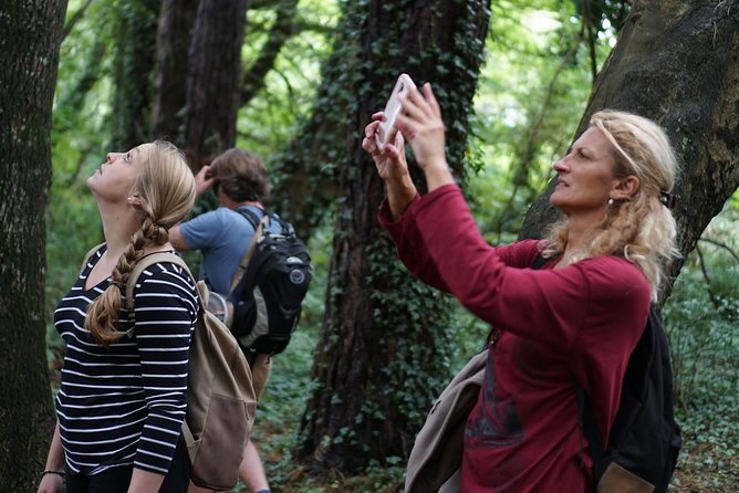 Dublin Coastal Hike with Howth Adventures - Starting at Howth Harbour and Market