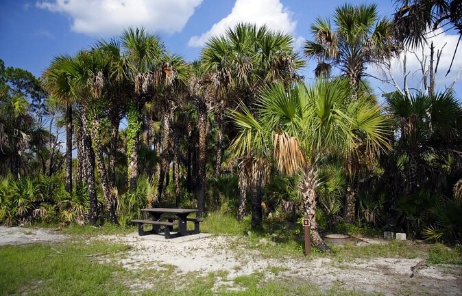 Everglades National Park Biologist Led Adventure: Cruise, Hike + Airboat - The early ride from Miami or Fort Lauderdale