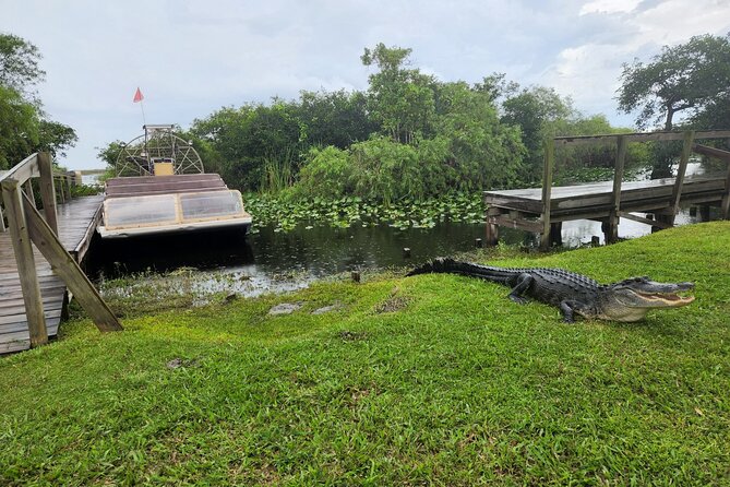 Everglades National Park Biologist Led Adventure: Cruise, Hike + Airboat - Everglades City and the final drive