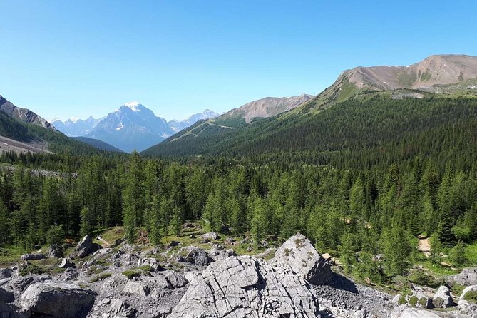 Exclusive Skoki Backcountry Guided Hiking in Lake Louise with Van Shuttle - Why the Skoki shuttle changes the day