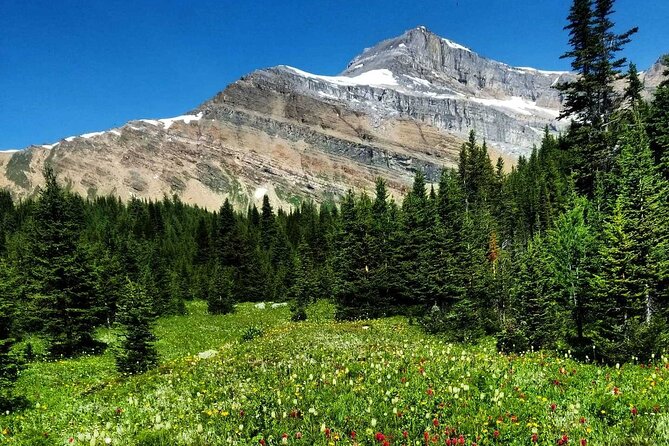 Exclusive Skoki Backcountry Guided Hiking in Lake Louise with Van Shuttle - What your guide adds to a remote hike