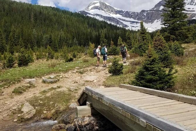 Exclusive Skoki Backcountry Guided Hiking in Lake Louise with Van Shuttle - Lunch, snacks, and the practical value of the price