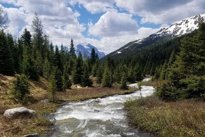 Exclusive Skoki Backcountry Guided Hiking in Lake Louise with Van Shuttle - Timing, group size, and the real pace of the day