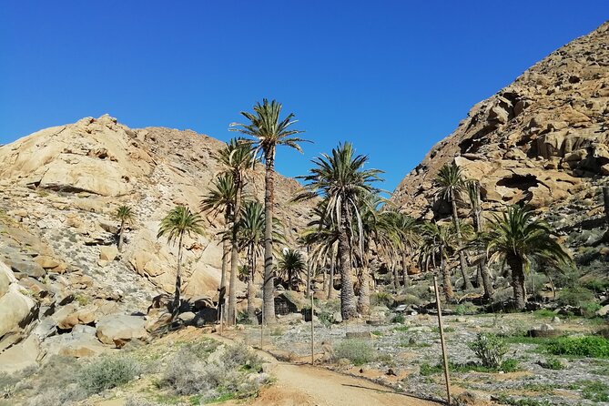 Excursion to Ajuy Caves with a secret Las Penitas canyon Hike - Why this western Fuerteventura outing feels different