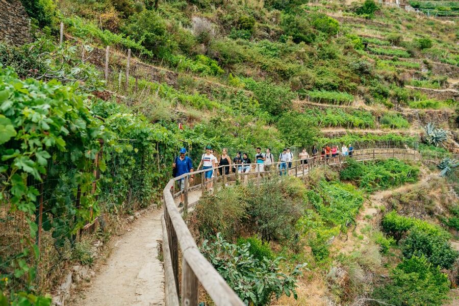 Florence: Cinque Terre Day Trip with Optional Hiking or Pisa - Manarola begins the village tour