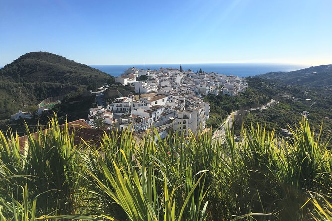 Frigiliana Small-Group Hike and Wine Tasting Tour from Malaga - From Malaga city center to the hills above Frigiliana