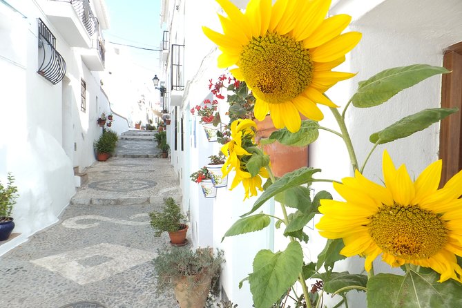 Frigiliana Small-Group Hike and Wine Tasting Tour from Malaga - Frigiliana after the hike