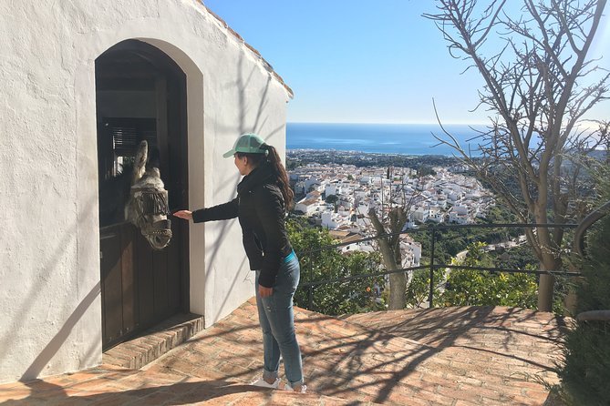 Frigiliana Small-Group Hike and Wine Tasting Tour from Malaga - Who should book this Frigiliana outing?