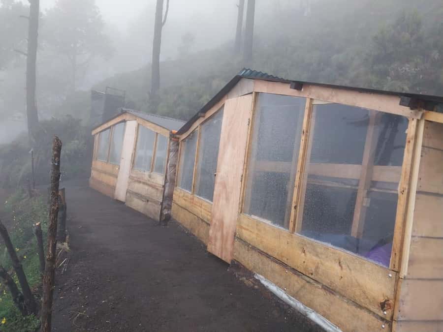 From Antigua: 2-Day Acatenango Volcano Hiking with Guide - Base camp, dinner, and Fuego after dark