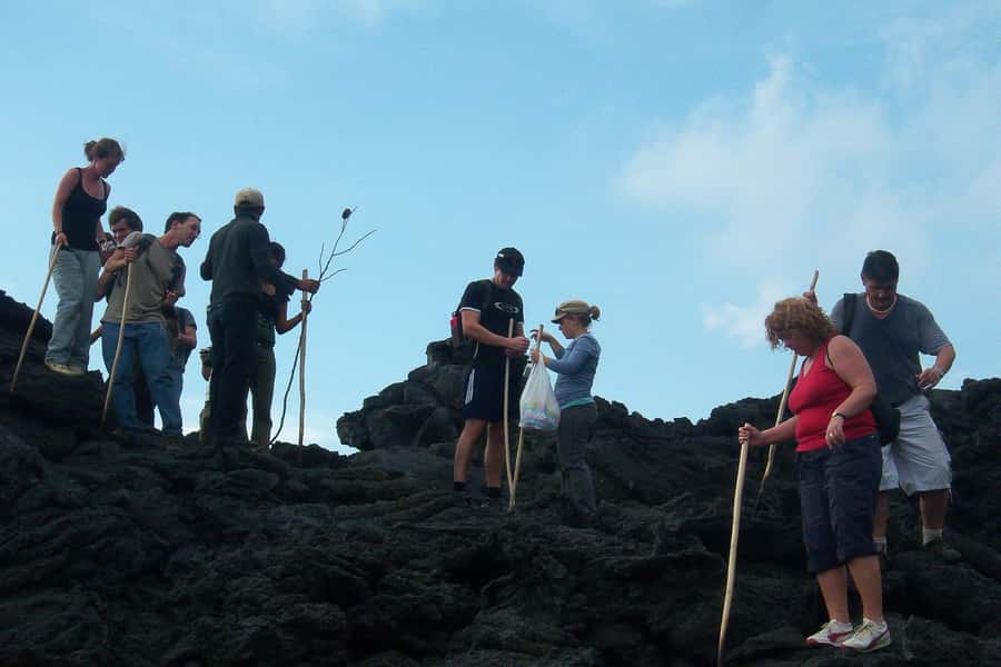 From Antigua: Pacaya Volcano Trek - The ash slope is where the work begins