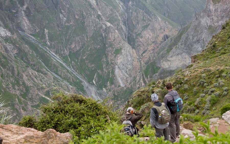 From Arequipa: 2-Day Colca Canyon Trekking Tour - Condors at Cruz del Cóndor