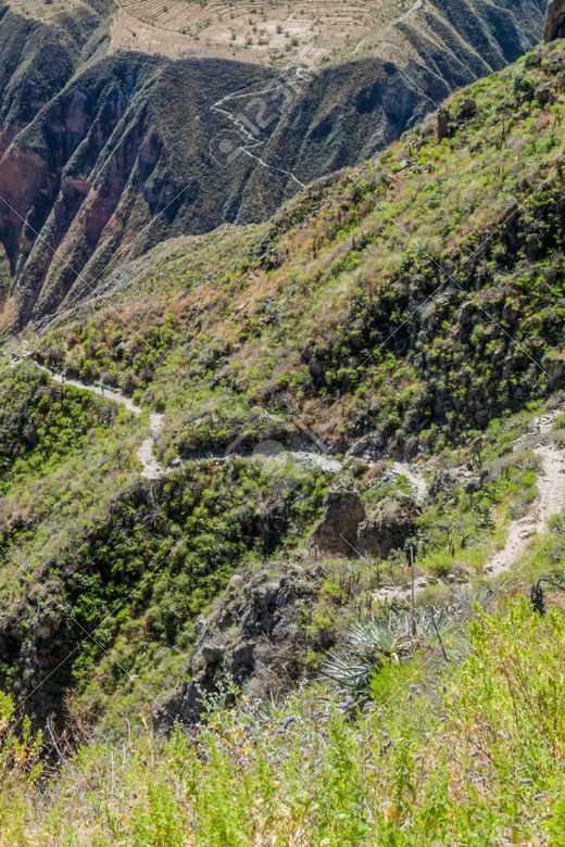 From Arequipa: 2-Day Colca Canyon Trekking Tour - The six-hour descent to San Juan de Chuccho