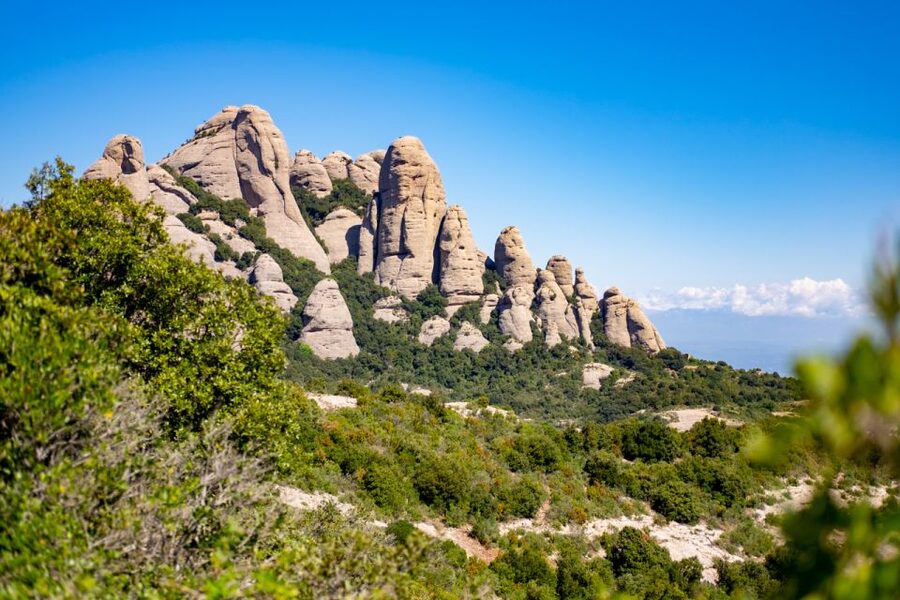 From Barcelona: Montserrat Monastery, Easy Hike, Cable Car - The monastery and cloister in about 100 minutes