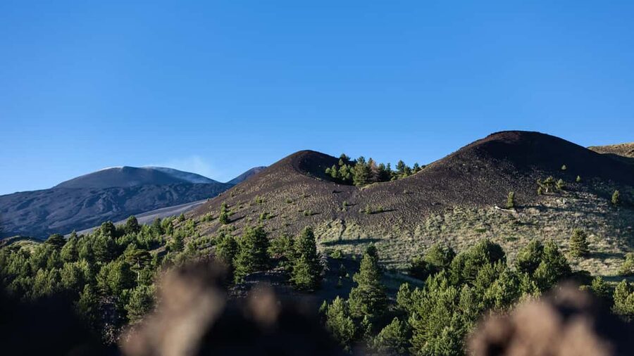 From Catania: trek on Mount Etna, Lava Cave & tasting Tour - Is this Mount Etna tour good value?