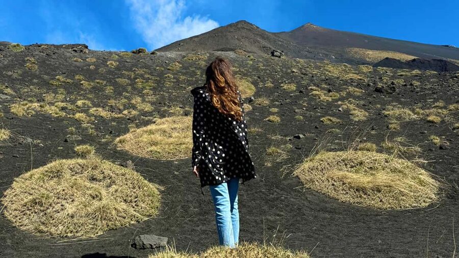From Catania: trek on Mount Etna, Lava Cave & tasting Tour - Why this Etna day trip works well