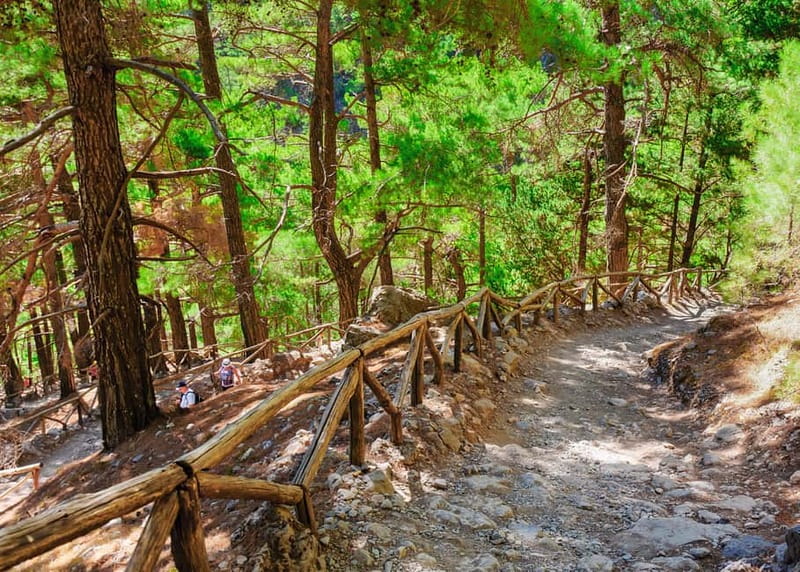 From Chania: Full-Day Samaria Gorge Trek Excursion & Guide - Crowds, narrow paths, and practical limits
