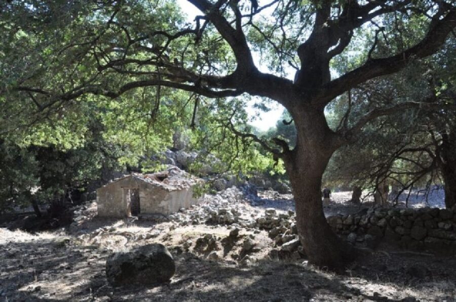 From Chania: Imbros Gorge Guided Hike and Village Visit - Why Imbros Gorge is a good first Crete hike