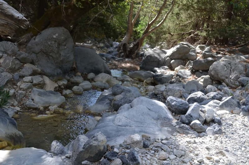 From Chania: Samaria Gorge Hike with Local Mountain Guide - Who should book this hike