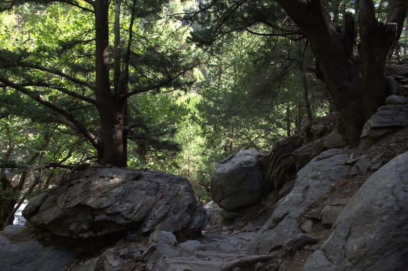 From Chania: Samaria Gorge Hike with Local Mountain Guide - Walking the riverbed and the narrow gorge