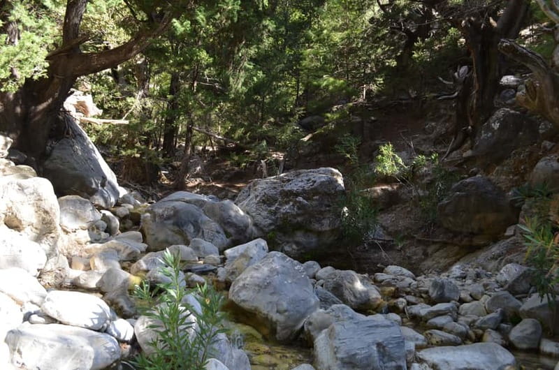 From Chania: Samaria Gorge Hike with Local Mountain Guide - The scenery and wildlife along the way