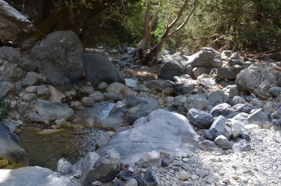 From Chania: Samaria Gorge Hike with Local Mountain Guide - Arriving at Agia Roumeli