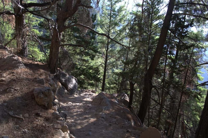 From Chania: Samaria Gorge Hike with Local Mountain Guide - What the $36 price really covers