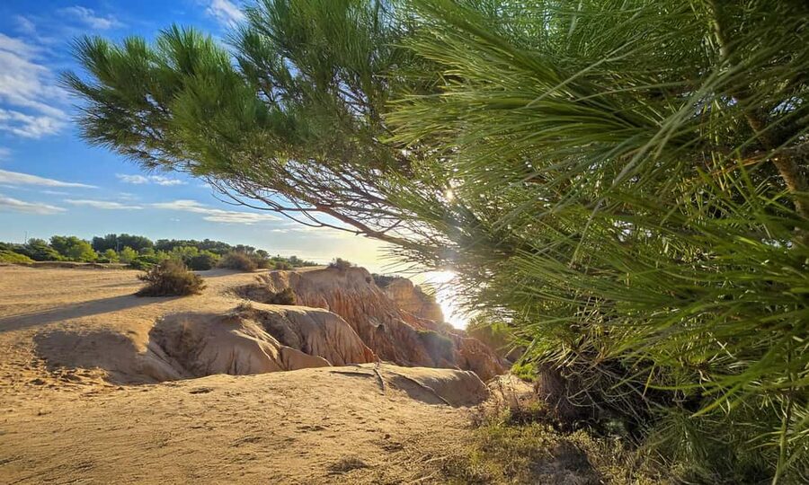 From Faro: Benagil Cliffs Hiking & 4 Treasures Experience - Senhora da Rocha, the chapel, and Praia Nova