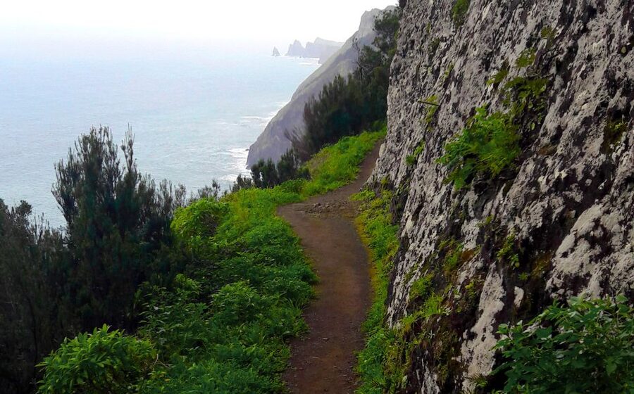 From Funchal: Machico to Porto da Cruz Larano Cliff Hike - Key points at a glance