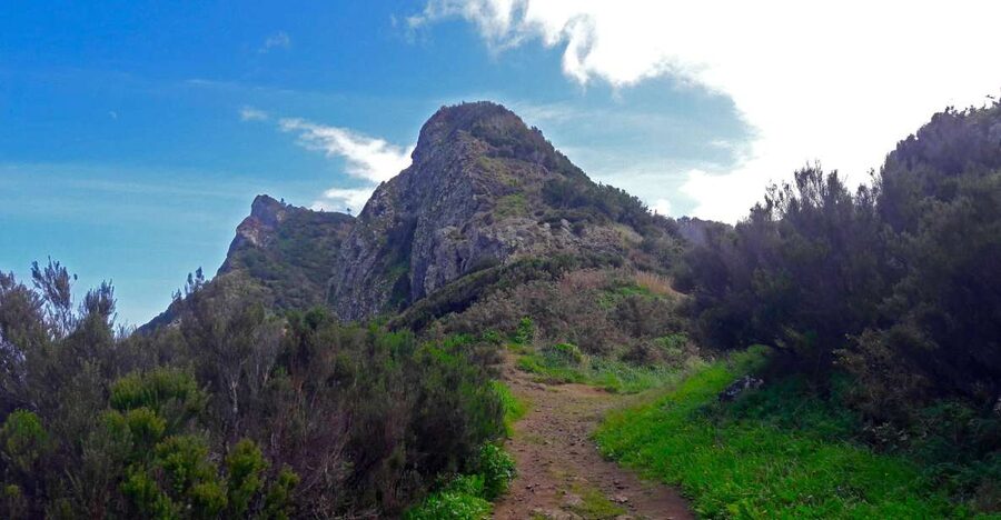 From Funchal: Machico to Porto da Cruz Larano Cliff Hike - São Lourenço and Porto Santo from the high ground