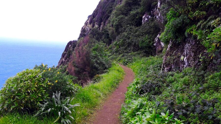 From Funchal: Machico to Porto da Cruz Larano Cliff Hike - Difficulty, pace, and who should book