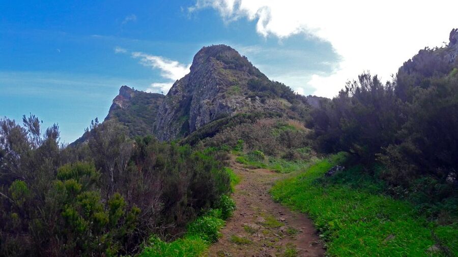 From Funchal: Machico to Porto da Cruz Larano Cliff Hike - Machico’s farmland and the first climb