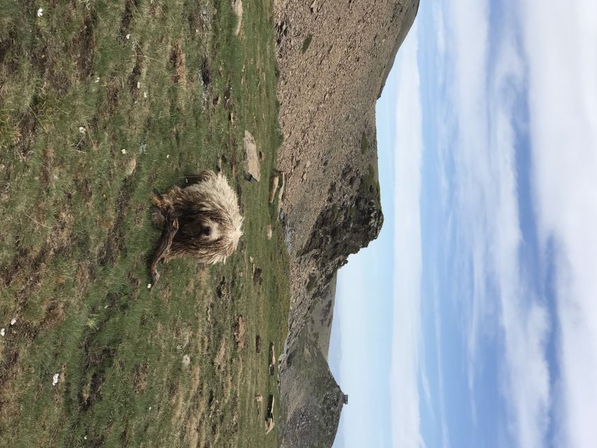 From Granada: High Sierra Nevada hiking experience - Climbing toward Tajos del Campanario