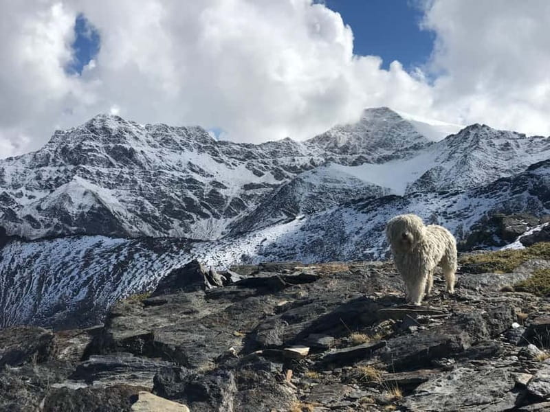 From Granada: High Sierra Nevada hiking experience - Mountain goats, eagles, and high-altitude life
