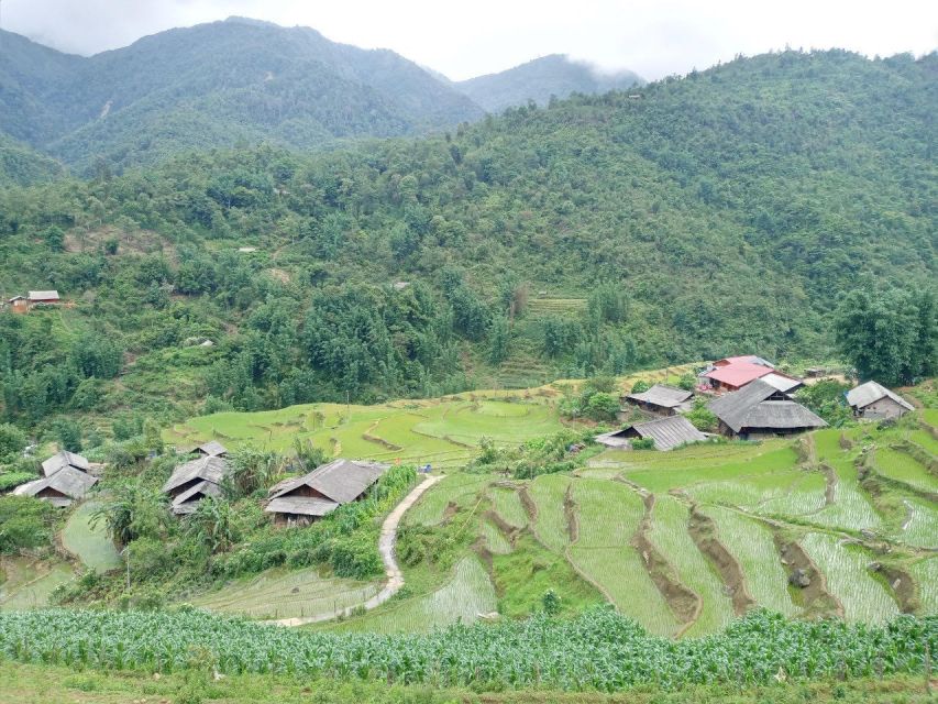 From Hanoi: 2-Day Sapa Trekking Trip with Homestay & Meals - Dinner, cooking, and the famous happy water