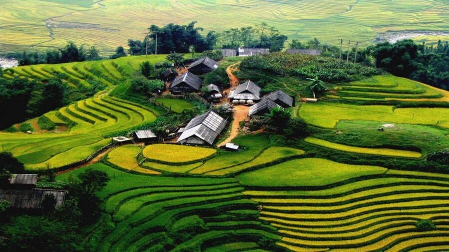 From Hanoi: Sapa 3-Day Medium Trek and Limousine Trip - Day 1: Sin Chai and your first look at village life
