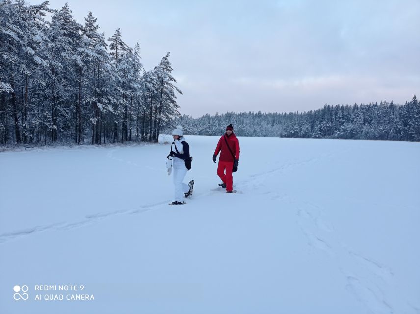 From Helsinki: Nuuksio National Park Hiking Tour with Food - A forest walk suited to beginners